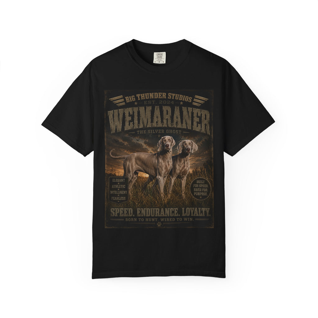 Weimaraner — Speed, Endurance & Loyalty