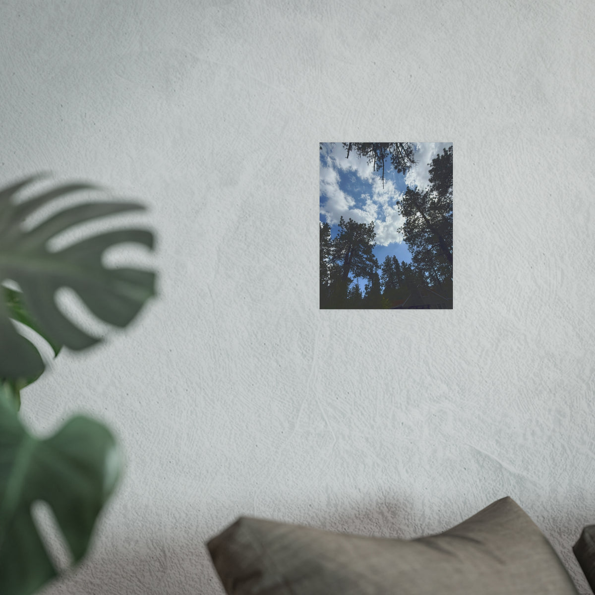 Wrightwood Sky Through the Trees — Nature Wall Art