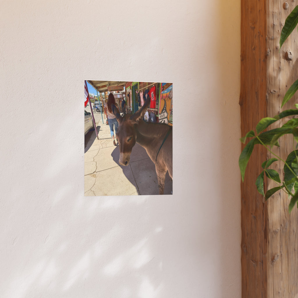 The Classy Ass - Diego the burro - Oatman Arizona Photography | Rustic Street Photography, Funny Animal Photo Print
