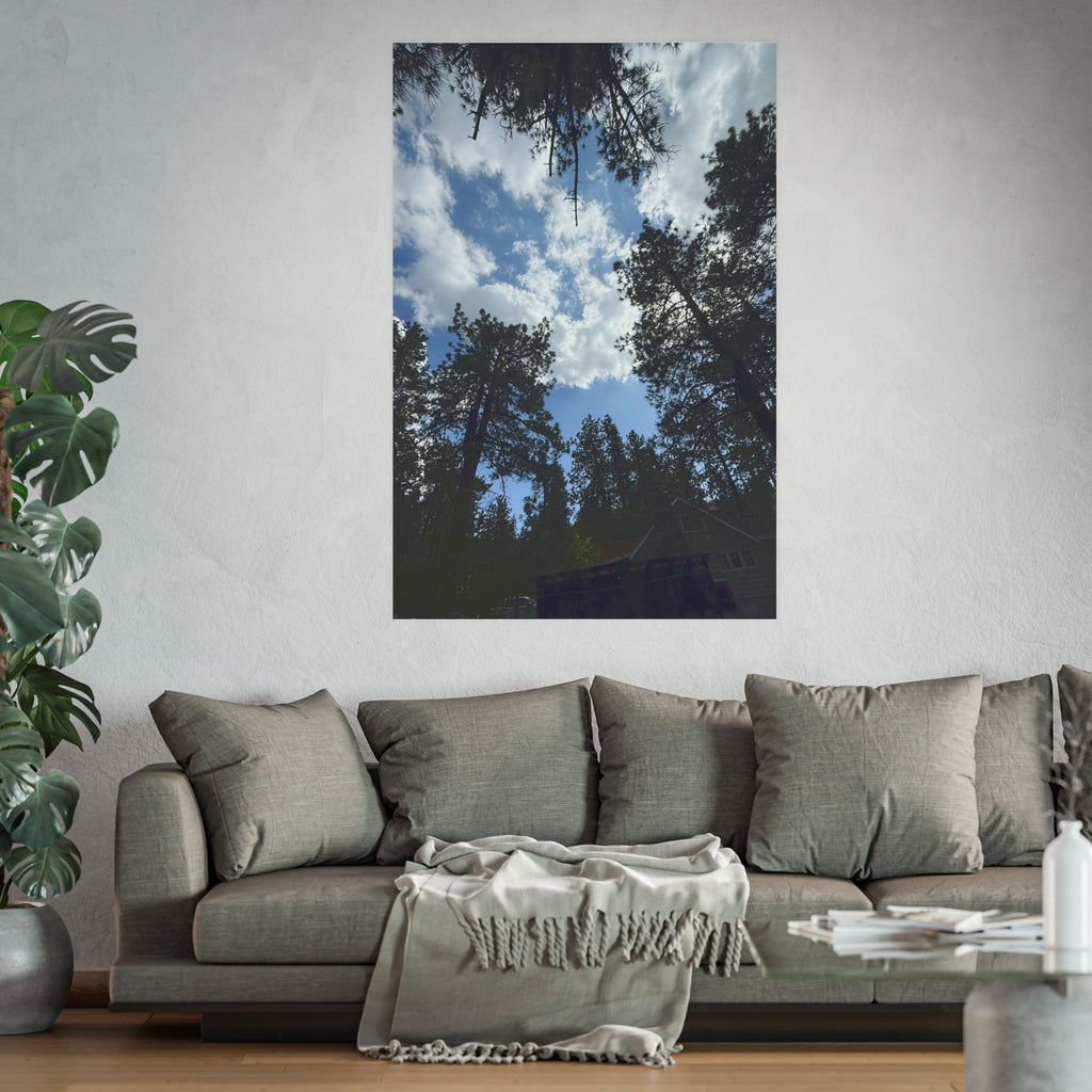 Wrightwood Sky Through the Trees — Nature Wall Art