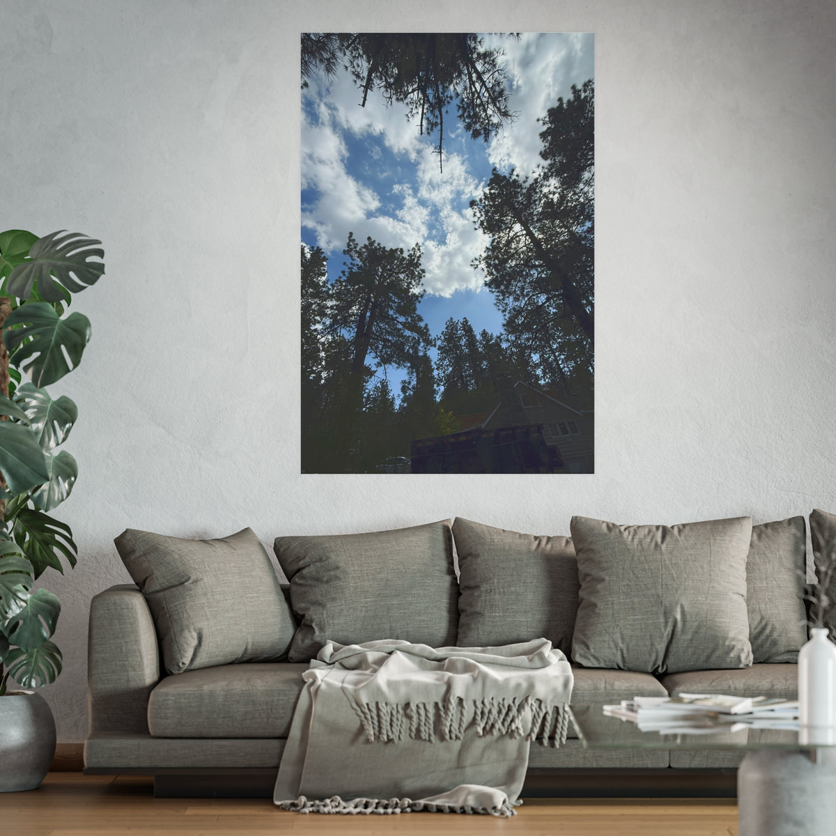 Wrightwood Sky Through the Trees — Nature Wall Art