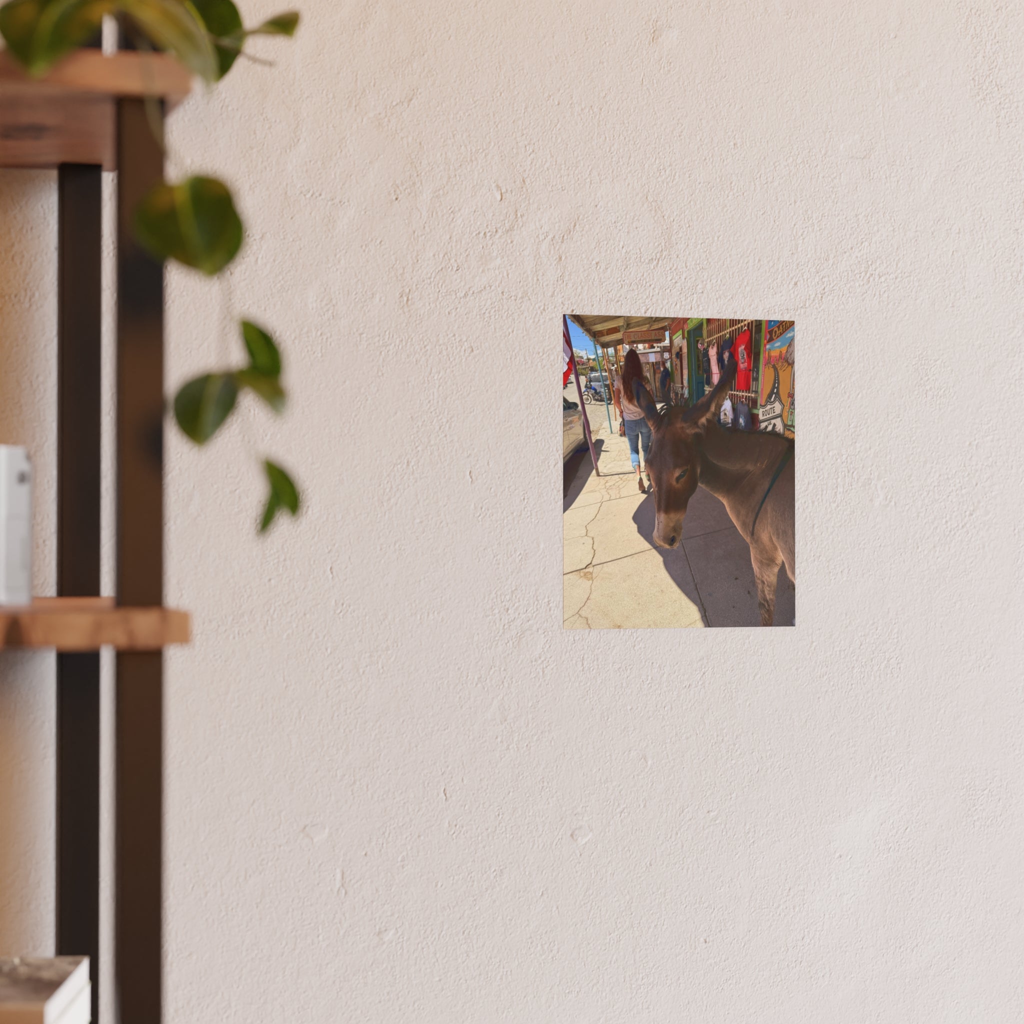 The Classy Ass - Diego the burro - Oatman Arizona Photography | Rustic Street Photography, Funny Animal Photo Print