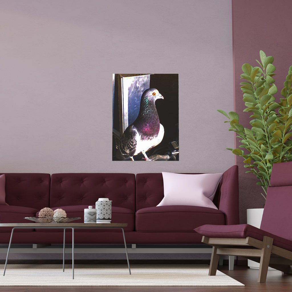 Pigeon Portrait — Urban Wildlife Wall Art