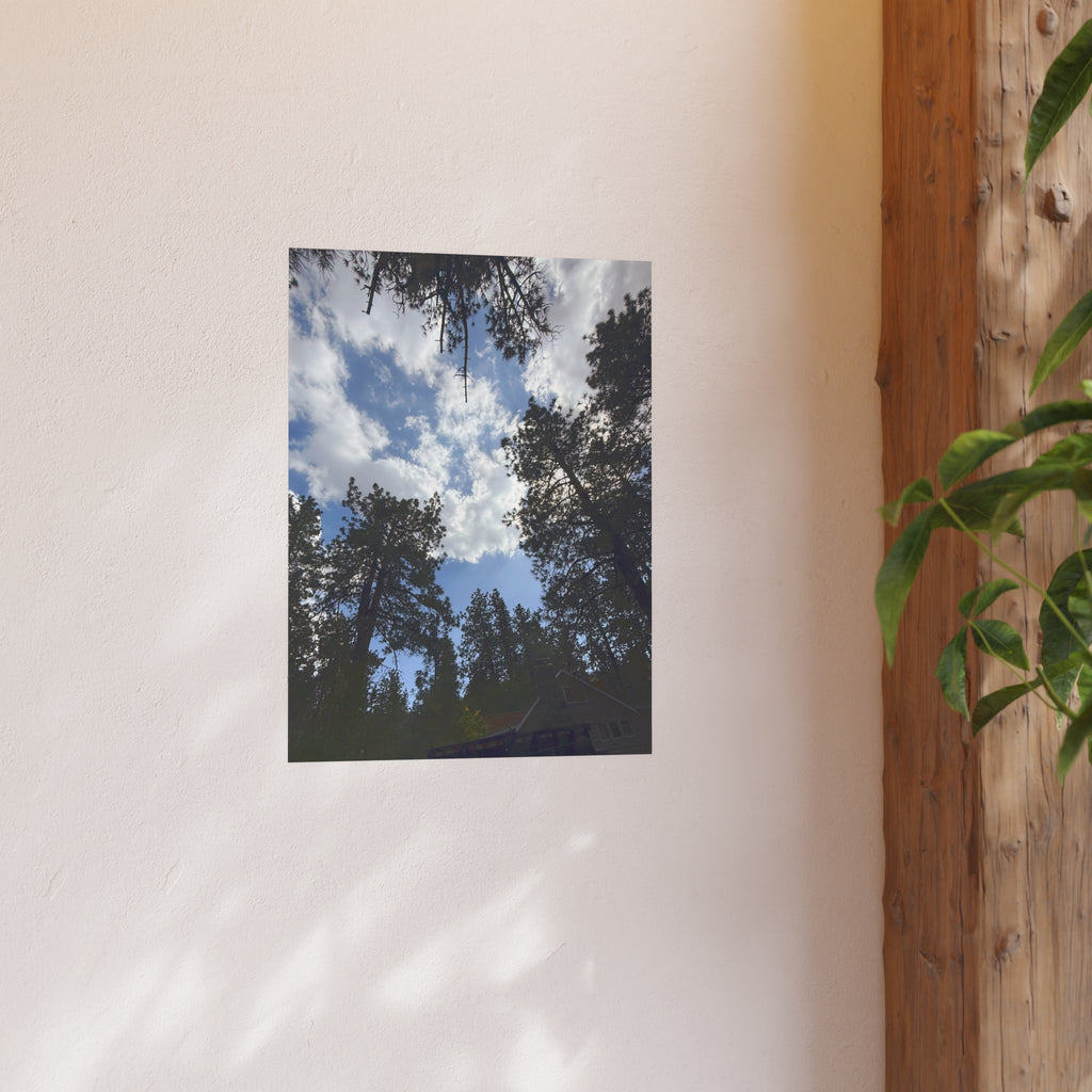 Wrightwood Sky Through the Trees — Nature Wall Art