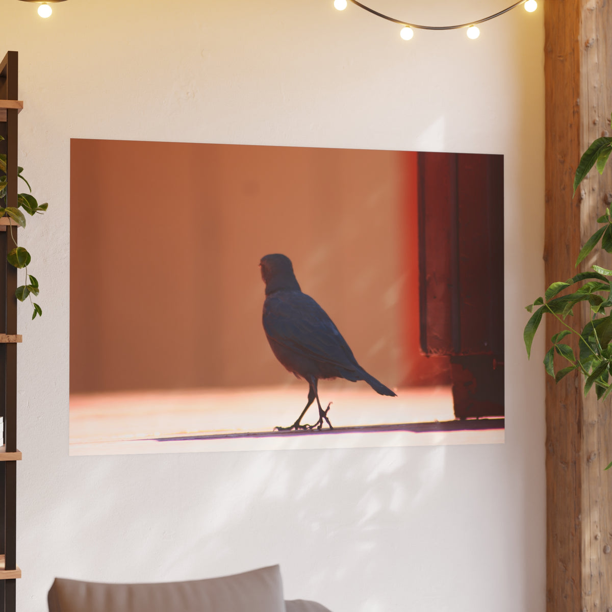 Walking Bird at Lake Tahoe — Wildlife Wall Art
