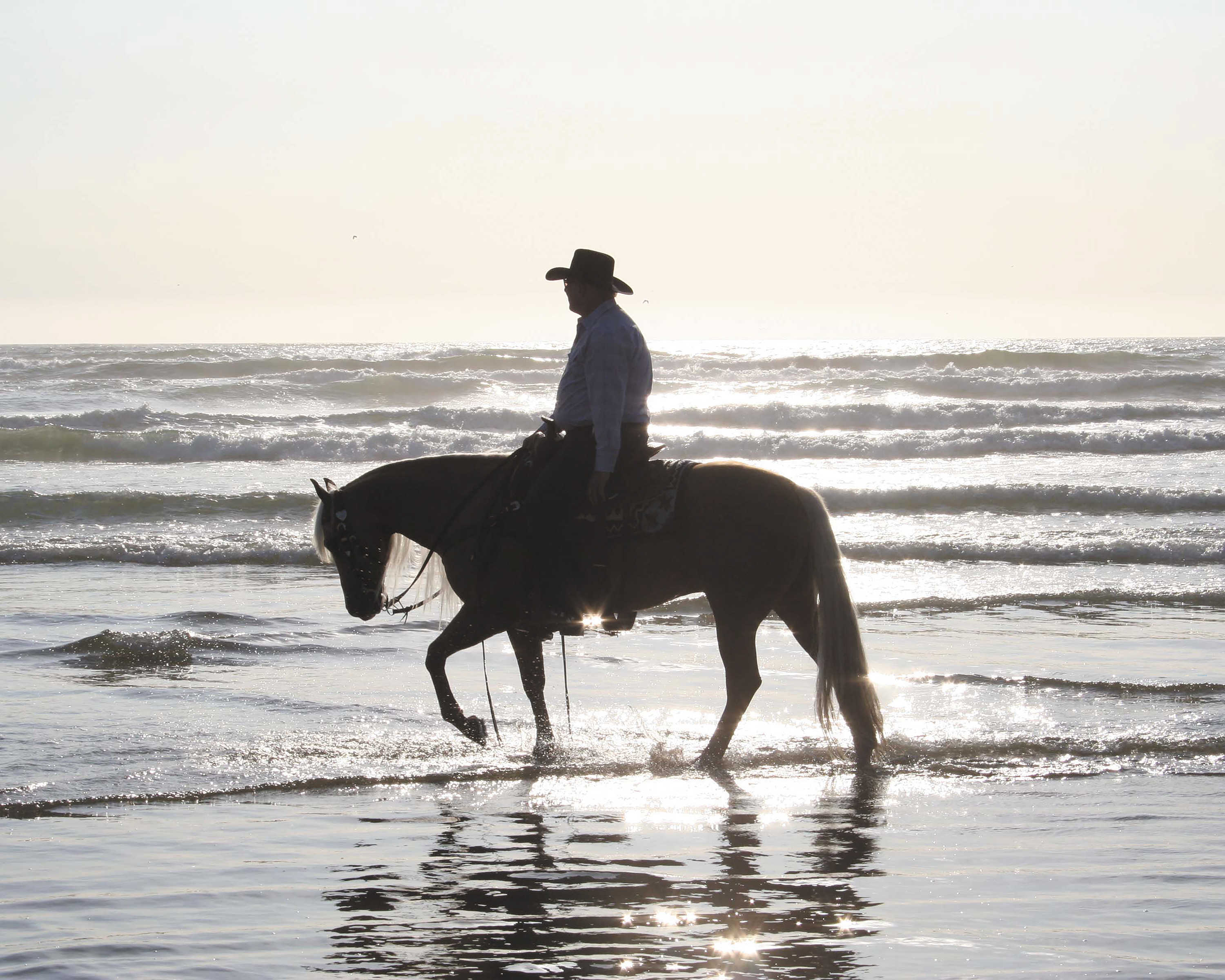 Surf Rider on Pismo Beach at Sunset | Horseback Beach Silhouette Sunset, Western Equine Wall Art