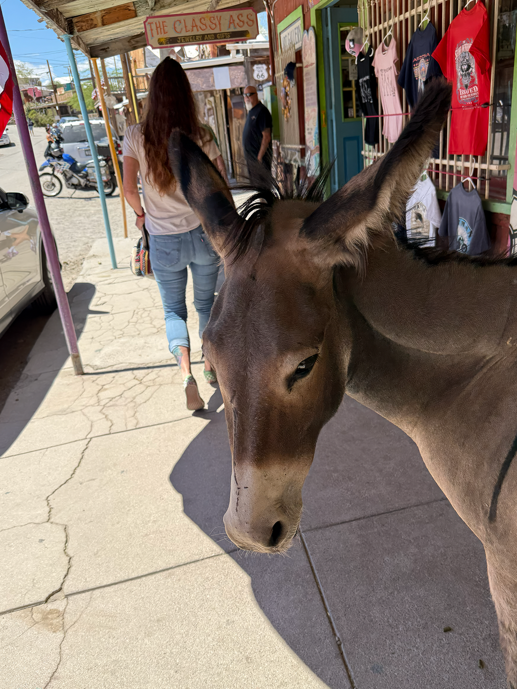 Oatman Donkey Street Photo Poster — Matte Vertical Wall Art
