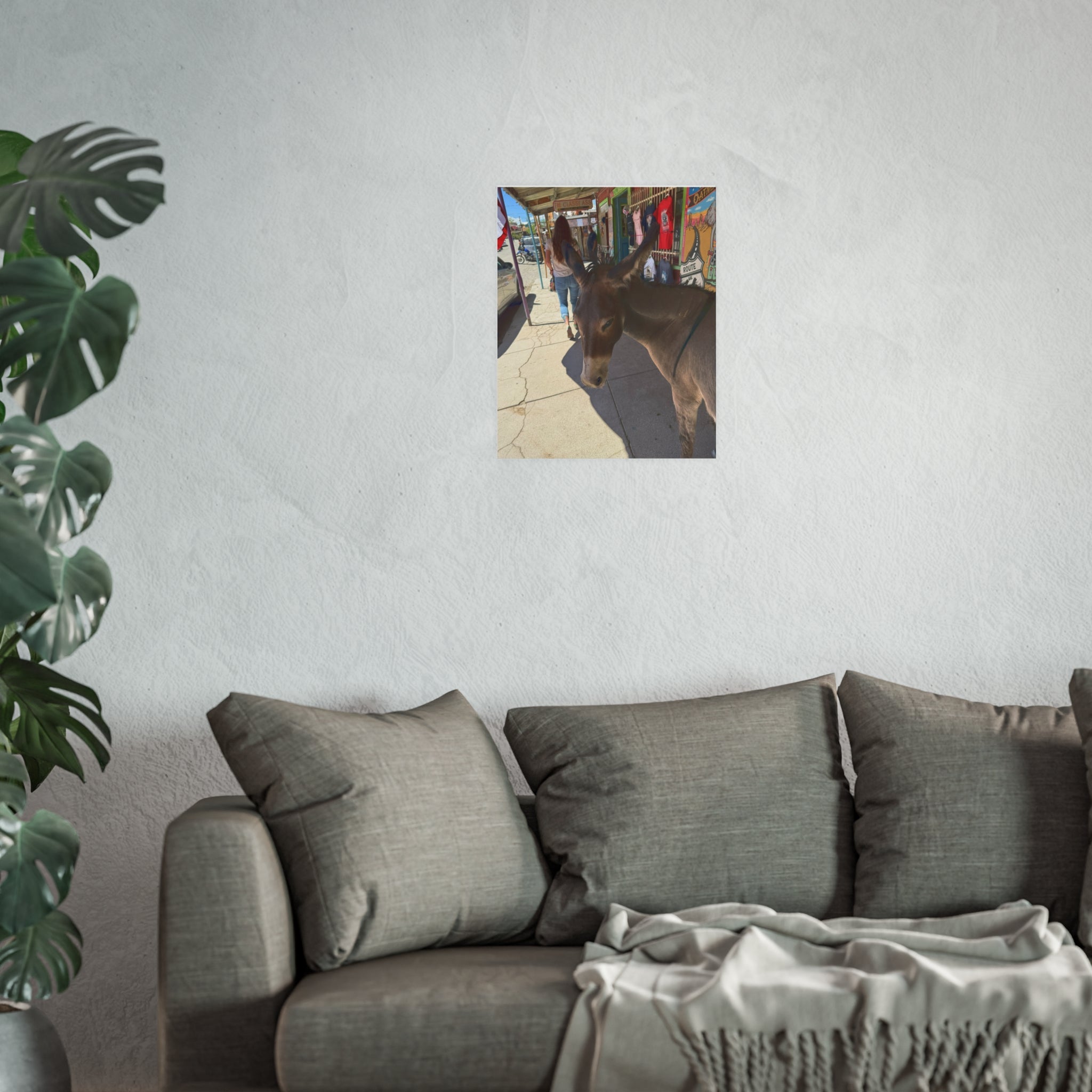 The Classy Ass - Diego the burro - Oatman Arizona Photography | Rustic Street Photography, Funny Animal Photo Print