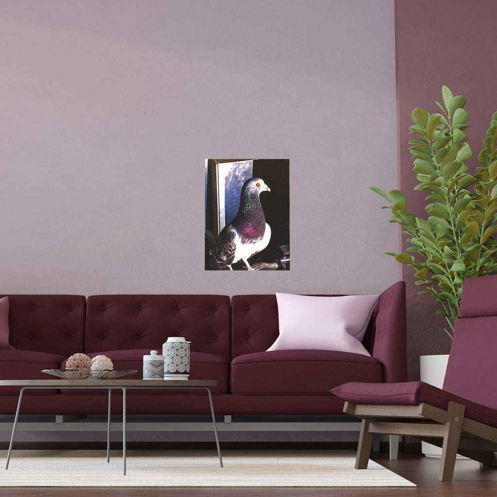Pigeon Portrait — Urban Wildlife Wall Art