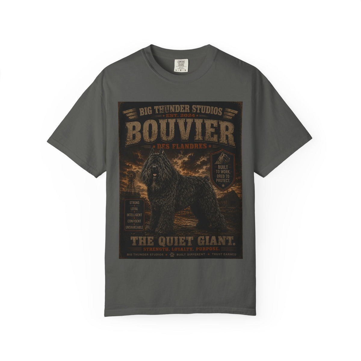 Bouvier des Flandres — The Quiet Giant